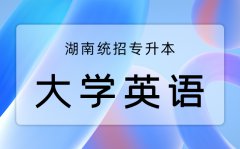 2023年湖南统招专升本英语每日一练